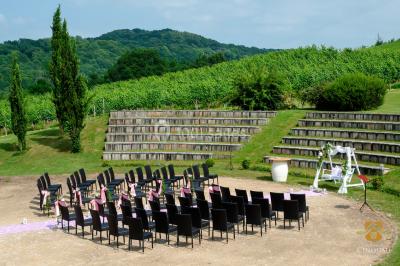 Location salle Artiguelouve (Pyrénées-Atlantiques) - Domaine du Cinquau #68