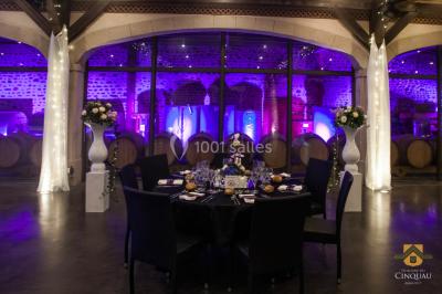 Location salle Artiguelouve (Pyrénées-Atlantiques) - Domaine du Cinquau #68