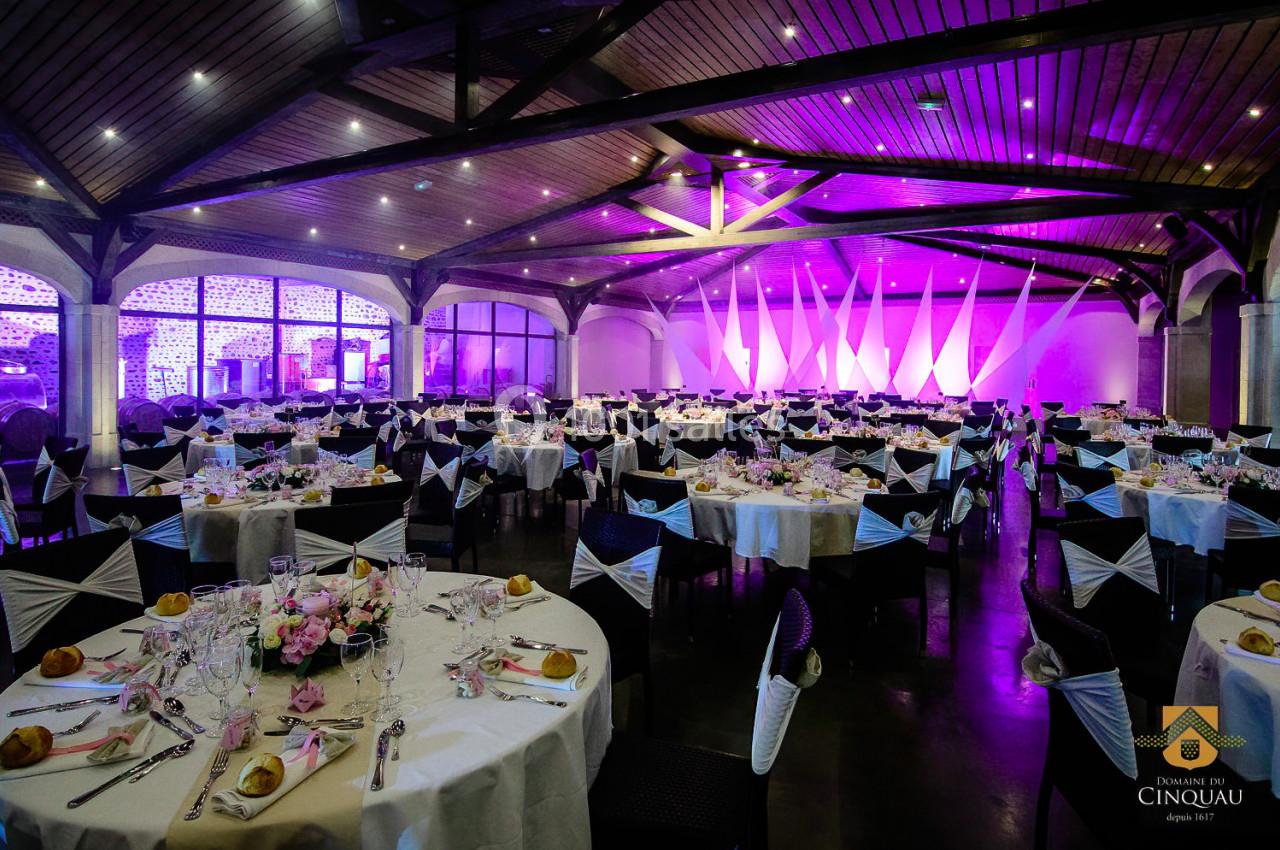 Location salle Artiguelouve (Pyrénées-Atlantiques) - Domaine du Cinquau #60