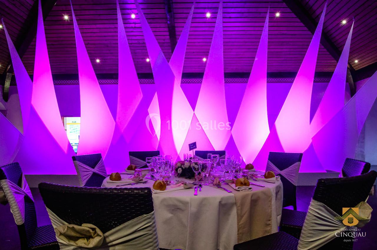 Location salle Artiguelouve (Pyrénées-Atlantiques) - Domaine du Cinquau #65