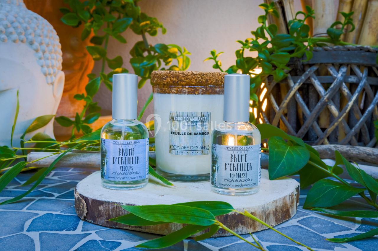 Location salle Aubais (Gard) - La Villa Vicha #18