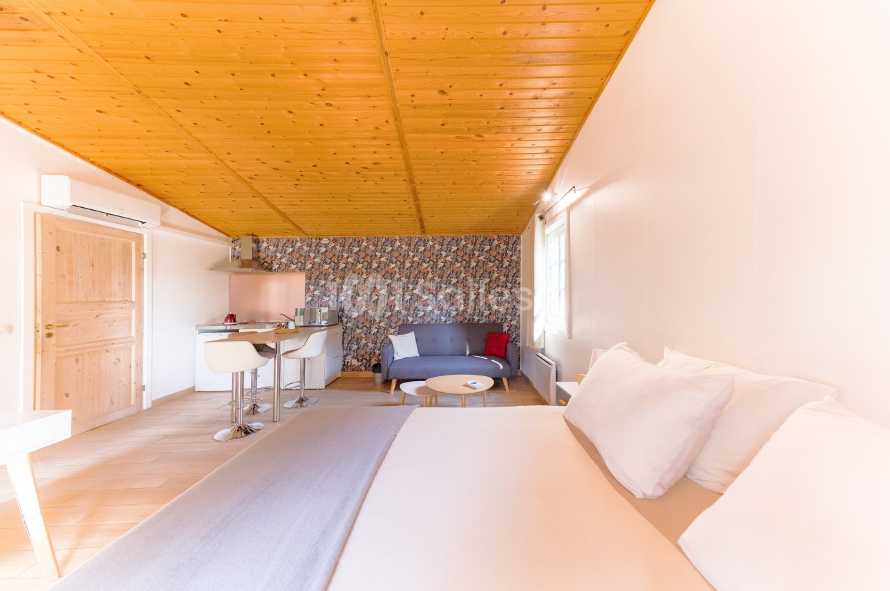 La Villa Vicha - galerie - photo 13