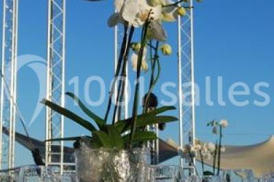 Miniature Location salle Antibes (Alpes-Maritimes) - Casino Joa La Siesta #8 Location salle Antibes (Alpes-Maritimes) - Casino Joa La Siesta #14