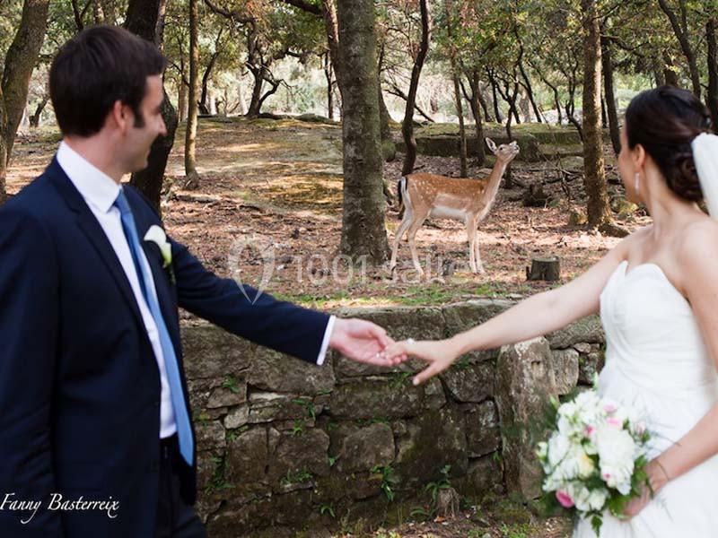 Location salle Soumont (Hérault) - Prieuré Saint Michel De Grandmont #12