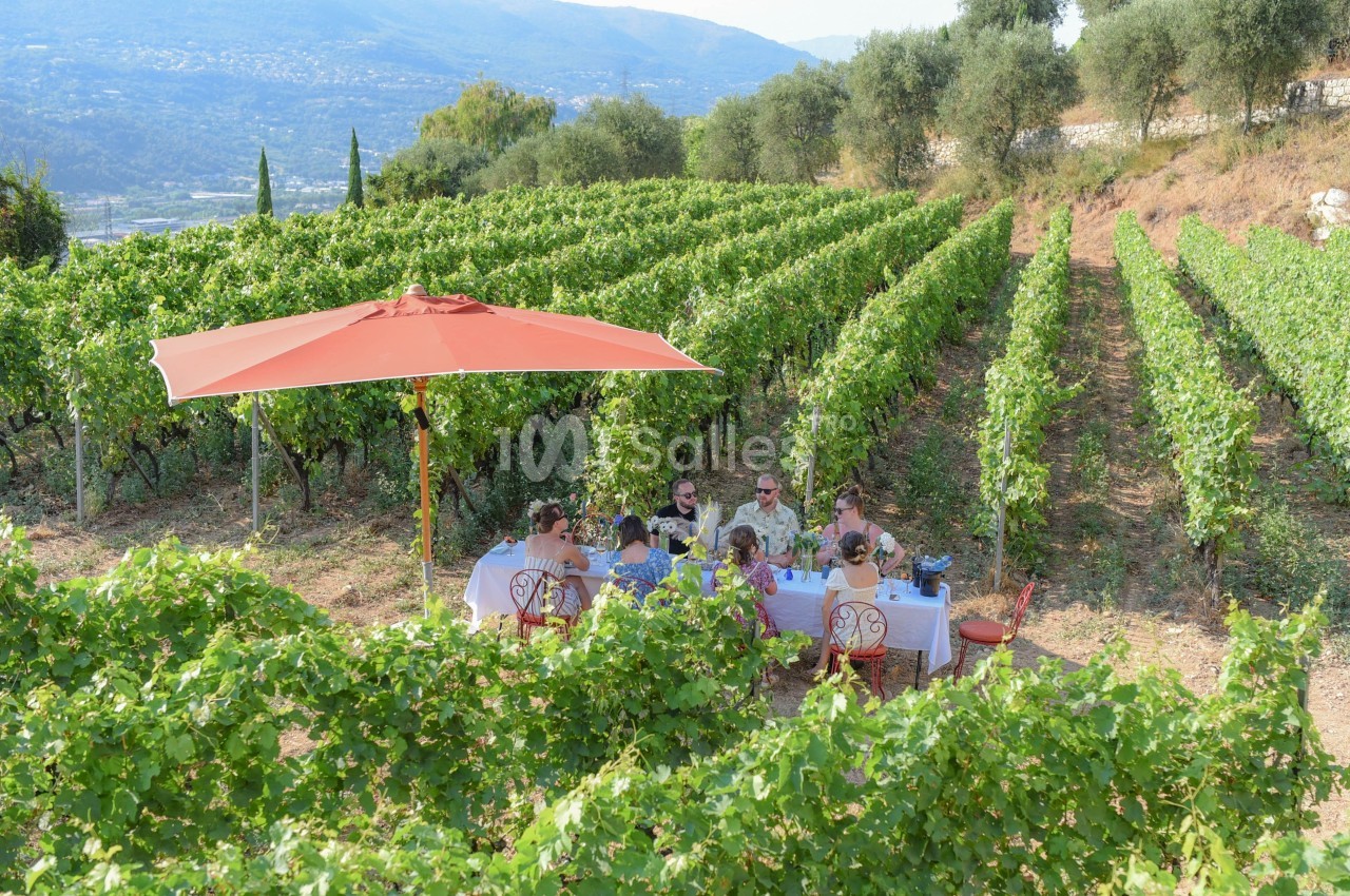 Des personnes déjeunent sous un parasol rouge au milieu de vignes verdoyantes sur un terrain vallonné.