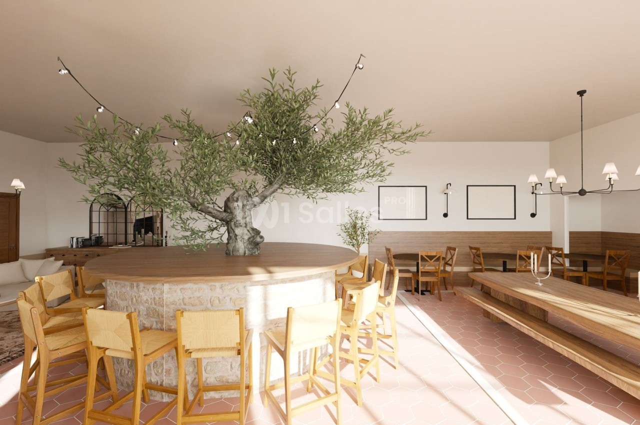 Salle de restaurant lumineuse avec un olivier central entouré de chaises en bois et des tables en bois clair.