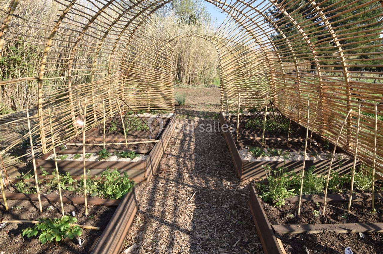 Location salle Ginestas (Aude) - Chateau du Puits Es Pratx #15