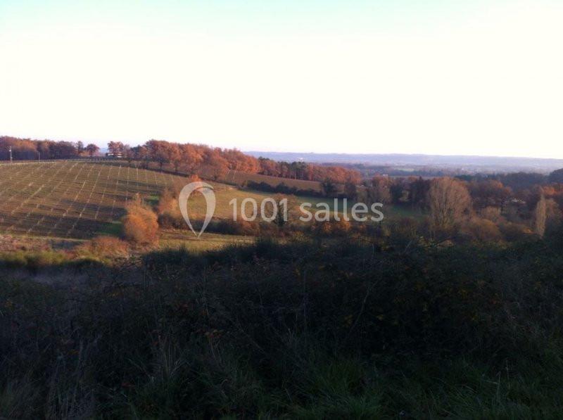 Location salle Belvès-de-Castillon (Gironde) - Château Castegens #6