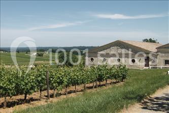 Location salle Belvès-de-Castillon (Gironde) - Château Castegens #16