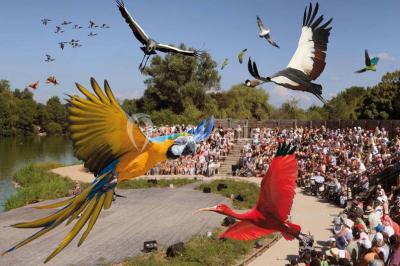 Location salle Villars-les-Dombes (Ain) - Le Parc Des Oiseaux #12