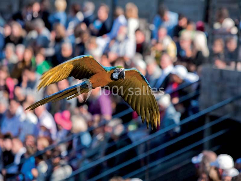 Location salle Villars-les-Dombes (Ain) - Le Parc Des Oiseaux #9