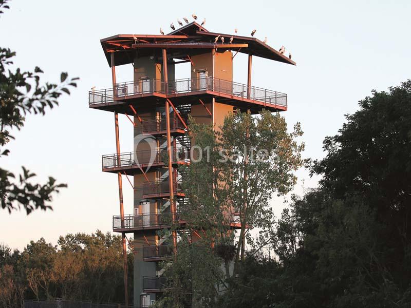 Location salle Villars-les-Dombes (Ain) - Le Parc Des Oiseaux #10