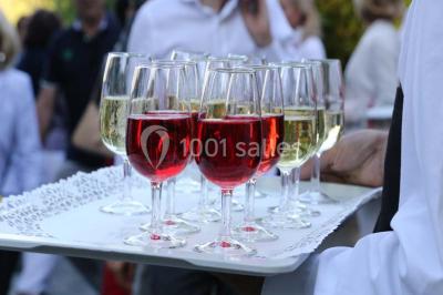 Location salle Villars-les-Dombes (Ain) - Le Parc Des Oiseaux #12