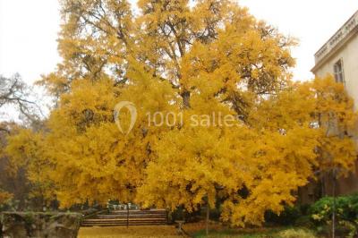 Miniature Location salle Saint-Michel-sur-Loire (Indre-et-Loire) - Château De Planchoury #18 Location salle Saint-Michel-sur-Loire (Indre-et-Loire) - Château De Planchoury #21