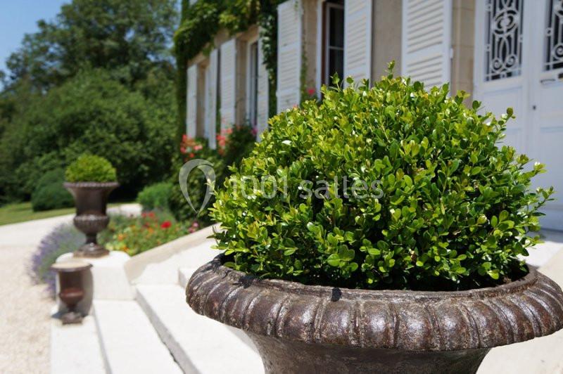 Buisson taillé dans un pot en métal devant une maison avec volets blancs et jardin fleuri en arrière-plan.