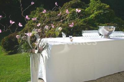 Miniature Location salle Reilly (Oise) - Château de Reilly #5 Plateau de canapés variés avec charcuterie, fromage, légumes et garnitures, présenté sur une table blanche.