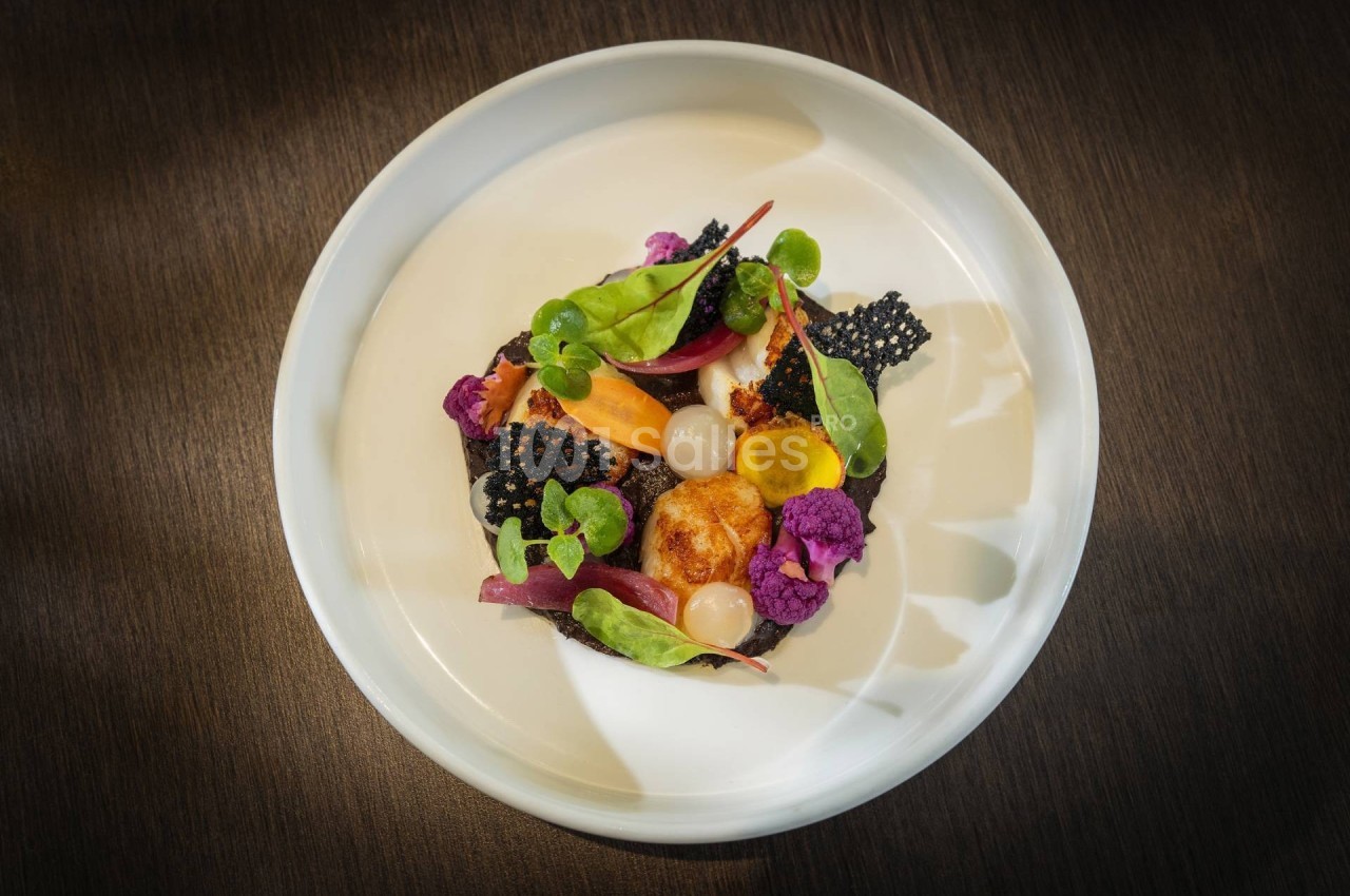 Assiette gastronomique avec légumes colorés, noix de Saint-Jacques et tuiles noires, présentée sur une table en bois sombre.