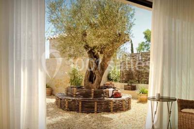 Les Jardins de Saint Benoit - photo 3