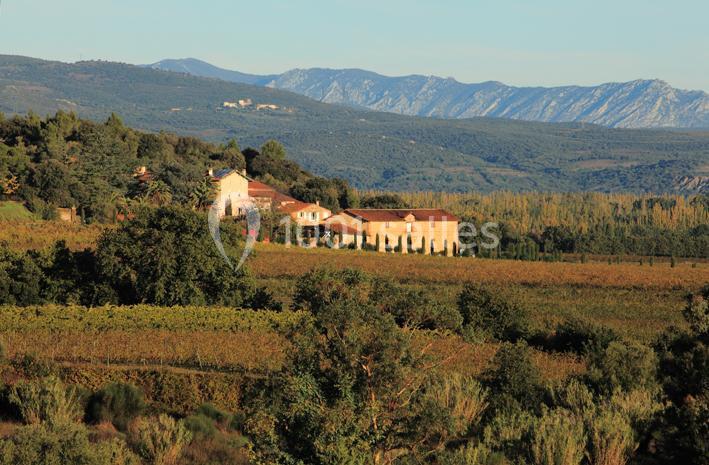 Domaine Bellavista - galerie - photo 10