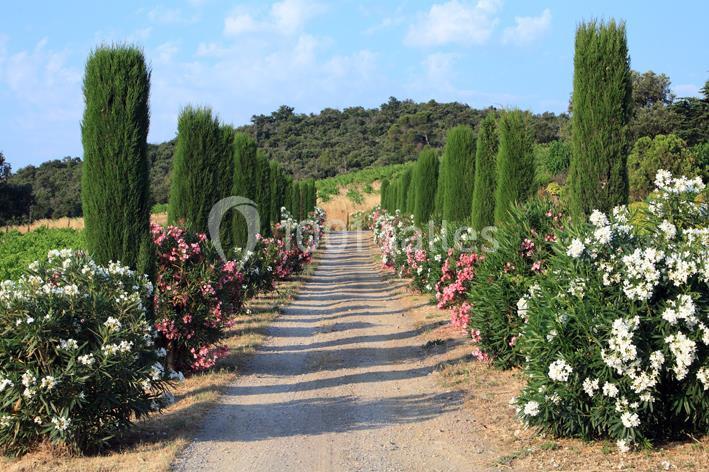 Domaine Bellavista - galerie - photo 12