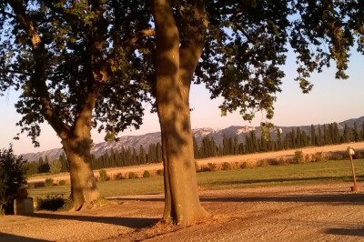 Le Mas du Juge - photo 2