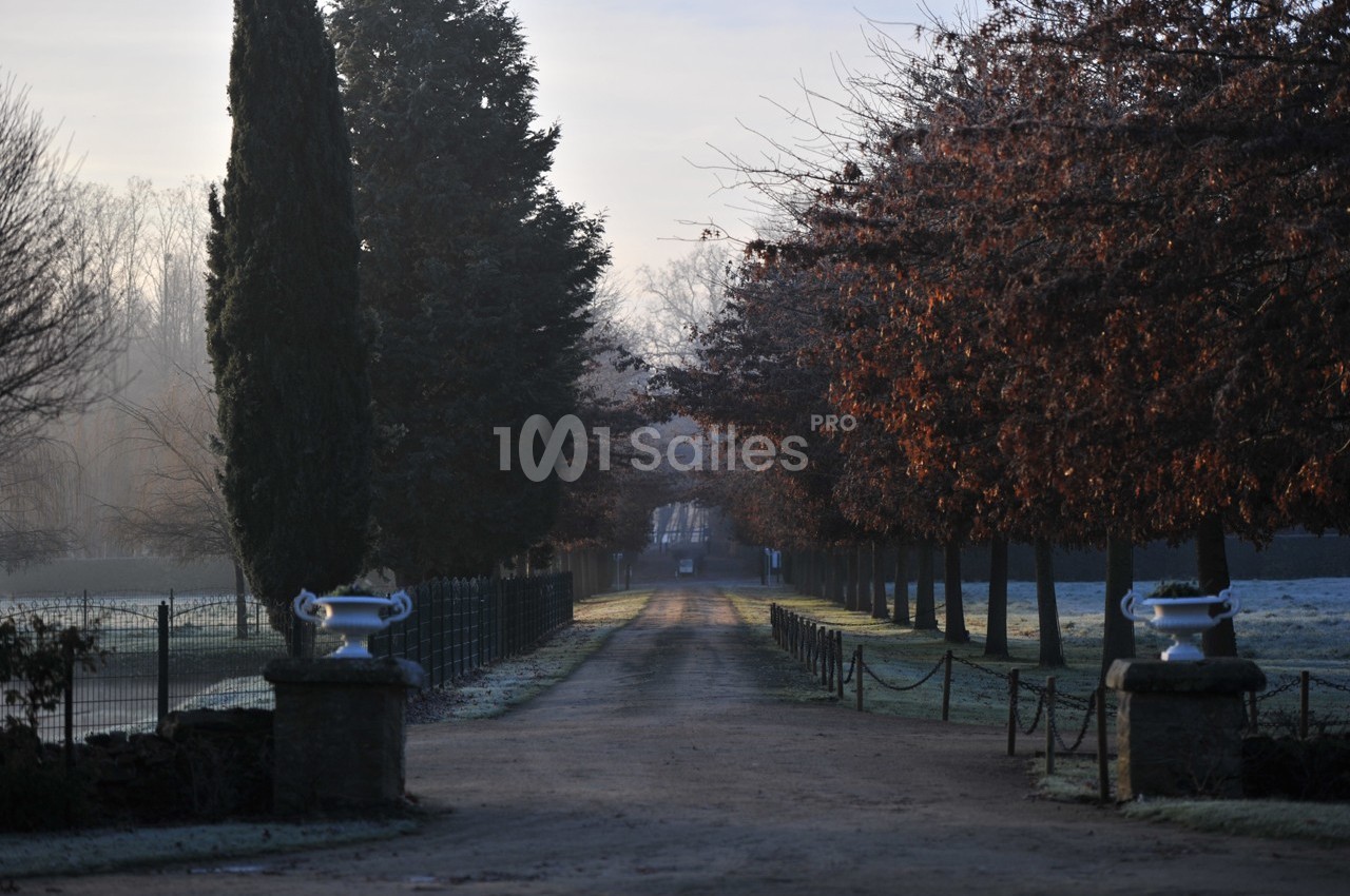 Allée bordée d'arbres aux feuilles d'automne, avec une légère brume matinale et des pelouses givrées.