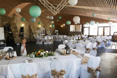 Location salle Saint-Vincent-de-Mercuze (Isère) - Chateau du Montalieu #18