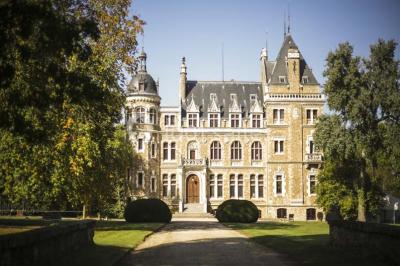 Château De Meridon - photo 1