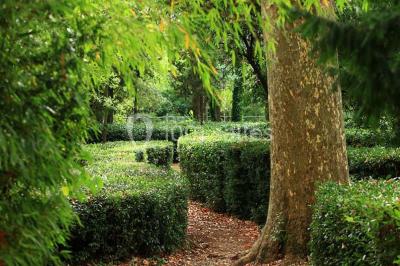 Miniature Location salle Taradeau (Var) - Château De Saint Martin #4 Location salle Taradeau (Var) - Château De Saint Martin #23