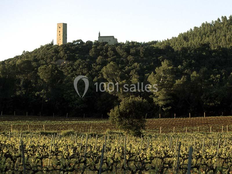 Location salle Taradeau (Var) - Château De Saint Martin #13