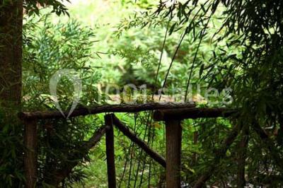 Miniature Location salle Taradeau (Var) - Château De Saint Martin #20 Location salle Taradeau (Var) - Château De Saint Martin #23