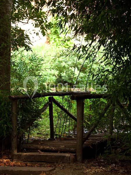 Location salle Taradeau (Var) - Château De Saint Martin #20