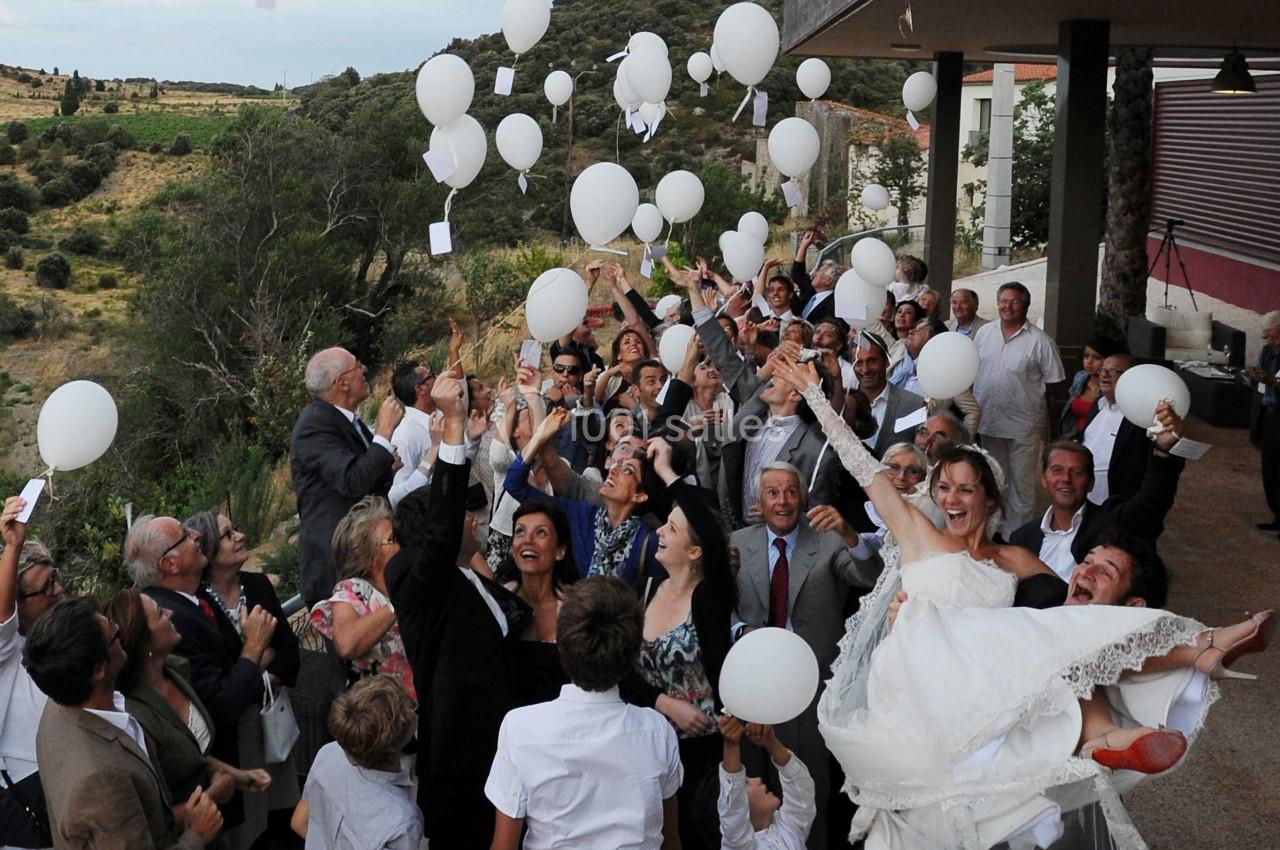 Location salle Bélesta (Pyrénées-Orientales) - Domaine Riberach #13