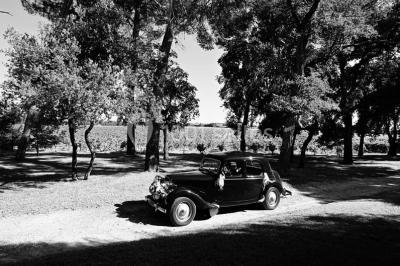 Miniature Location salle Piolenc (Vaucluse) - Château Beauchêne #13 Un couple en tenue de mariage sourit sur les marches d'un escalier en pierre devant une maison entourée de végétation.