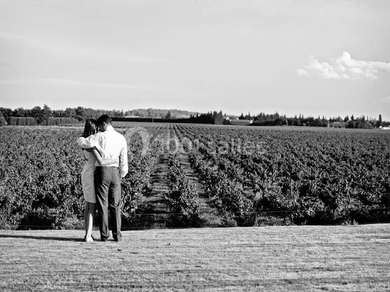 Location salle Piolenc (Vaucluse) - Château Beauchêne #14 Un couple de dos observe un vaste champ de vignes sous un ciel dégagé.