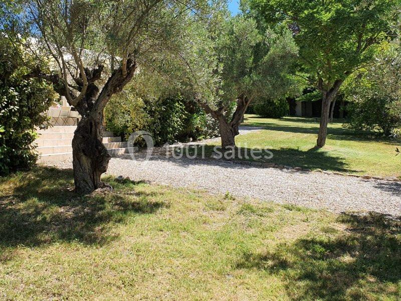 Allée gravillonnée bordée d'oliviers et d'arbres, menant à des marches en pierre dans un jardin ensoleillé.
