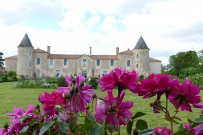 Miniature Location salle Sainte-Gemme-la-Plaine (Vendée) - Château de la Chevallerie #16 Un couple marche dans le jardin d'un château ancien entouré de verdure par une journée ensoleillée.