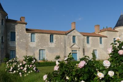 Miniature Location salle Sainte-Gemme-la-Plaine (Vendée) - Château de la Chevallerie #15 Un couple marche dans le jardin d'un château ancien entouré de verdure par une journée ensoleillée.