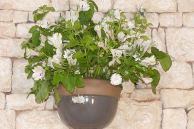 Miniature Location salle Sainte-Gemme-la-Plaine (Vendée) - Château de la Chevallerie #30 Un couple marche dans le jardin d'un château ancien entouré de verdure par une journée ensoleillée.