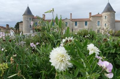 Miniature Location salle Sainte-Gemme-la-Plaine (Vendée) - Château de la Chevallerie #38 Un couple marche dans le jardin d'un château ancien entouré de verdure par une journée ensoleillée.
