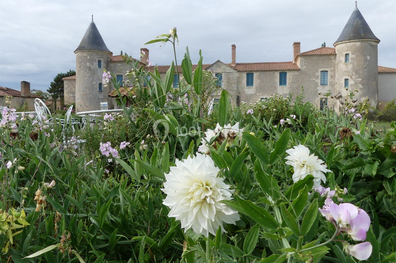 Location salle Sainte-Gemme-la-Plaine (Vendée) - Château de la Chevallerie #38 Jardin fleuri avec des dahlias blancs et des pois de senteur devant un château aux tours coniques sous un ciel nuageux.