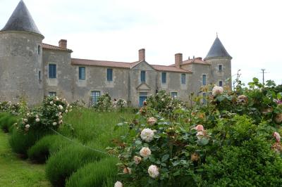 Miniature Location salle Sainte-Gemme-la-Plaine (Vendée) - Château de la Chevallerie #18 Un couple marche dans le jardin d'un château ancien entouré de verdure par une journée ensoleillée.