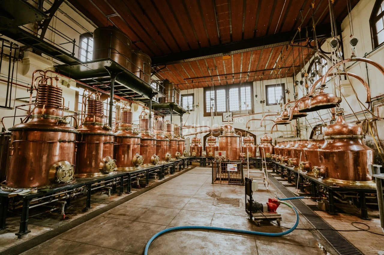 Salle de distillation avec alambics en cuivre alignés, tuyaux et équipements industriels visibles.