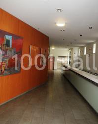 Salle André Malraux - galerie - photo 6