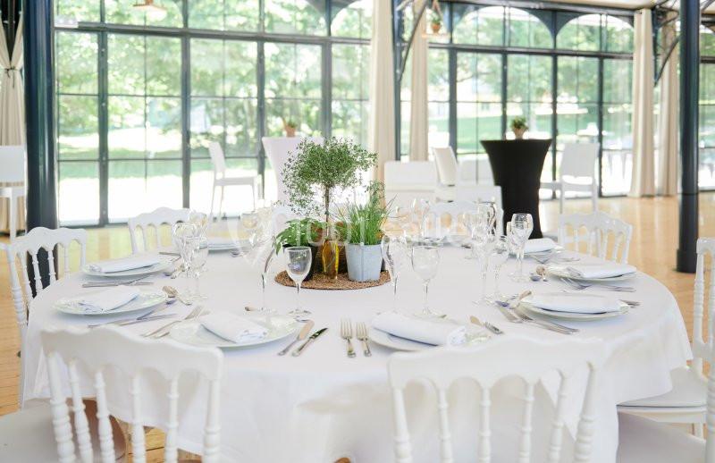 Location salle Saint-Pierre-de-Chandieu (Rhône) - Château de Rajat #14