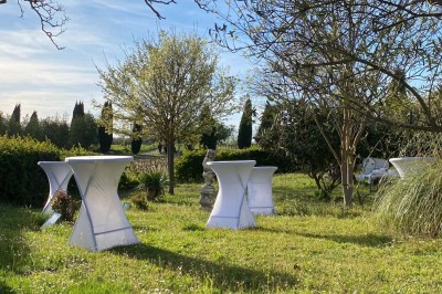 Miniature Location salle Ansouis (Vaucluse) - Le Grand Turcan #7 Salle avec un ancien pressoir en bois, des tonneaux, une table rouge avec bouteilles et des verres à vin.