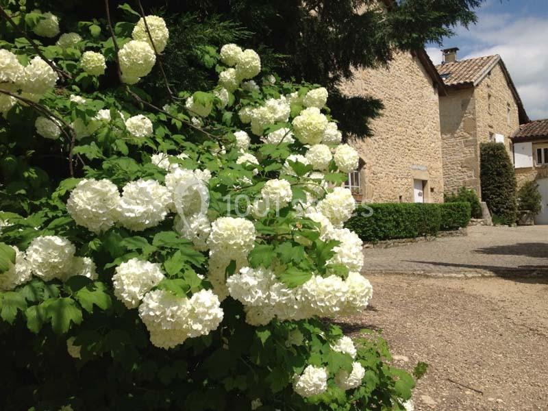 Location salle Pommiers (Rhône) - Domaine Albert #1