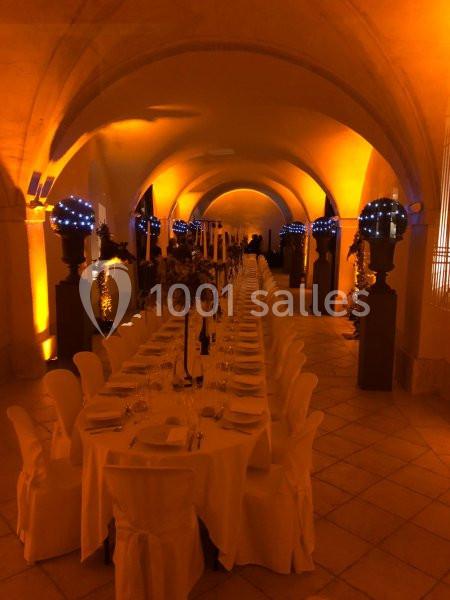 Location salle Anse (Rhône) - Château De Saint Trys #12