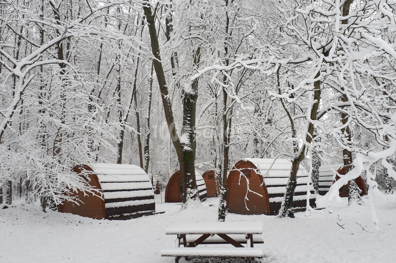 Cabanes en bois dans une forêt enneigée, avec une table de pique-nique recouverte de neige au premier plan.