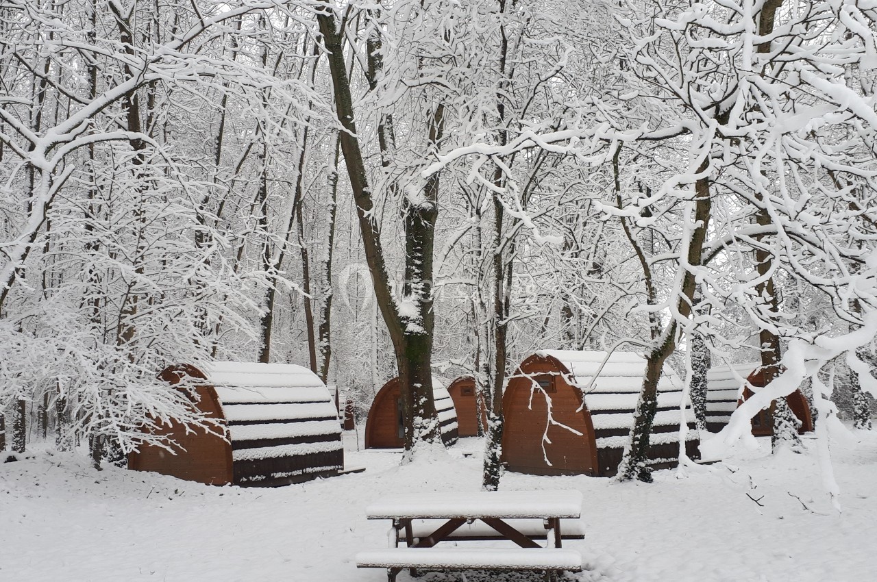 Cabanes en bois dans une forêt enneigée, avec une table de pique-nique recouverte de neige au premier plan.
